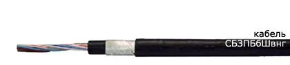 Кабель СБЗПБбШвнг